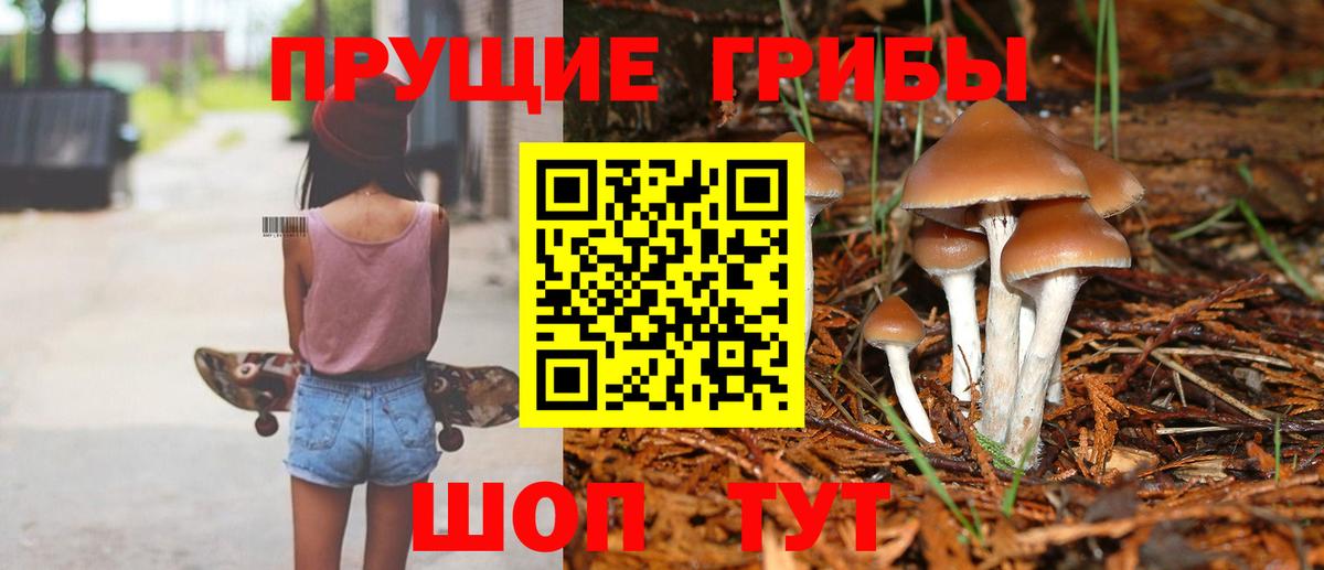 Белебей  Псилоцибиновые грибы Cubensis  Вход с VPN 